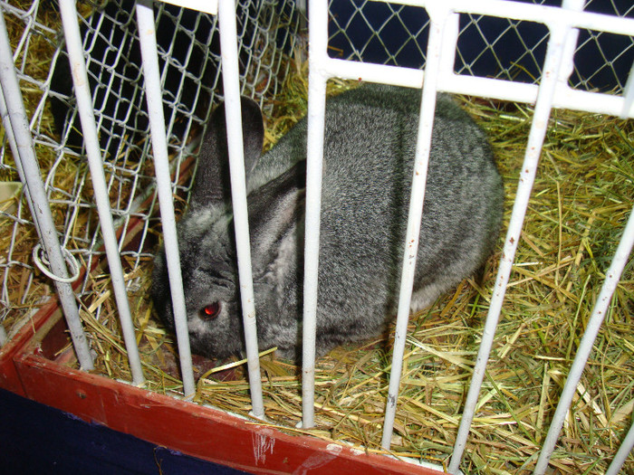 DSC09185