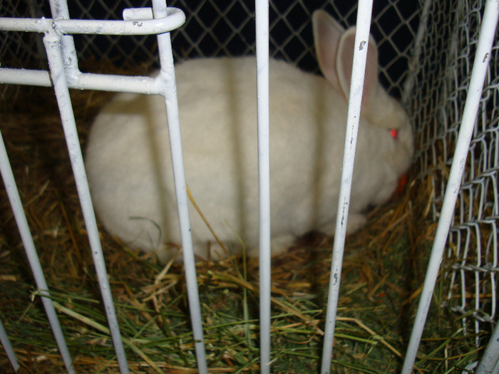 DSC09188