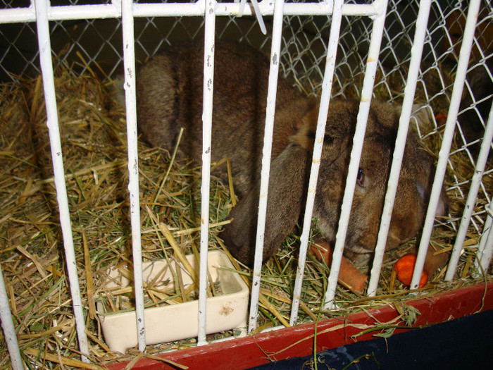 DSC09190