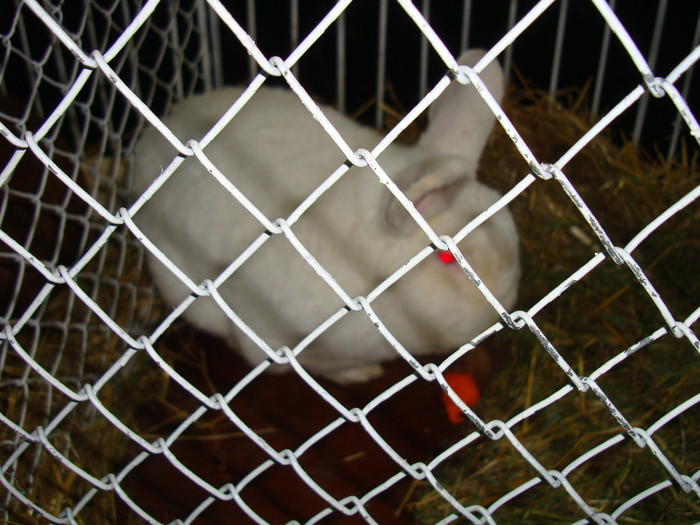 DSC09191