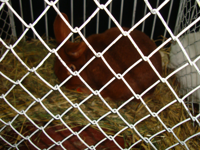 DSC09192