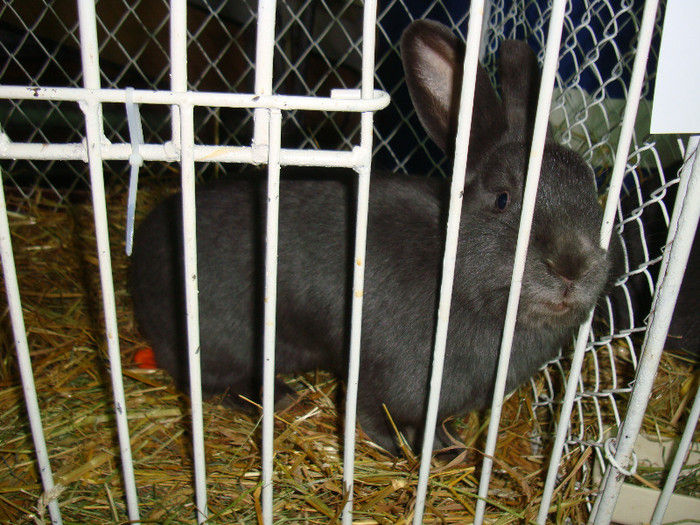 DSC09193