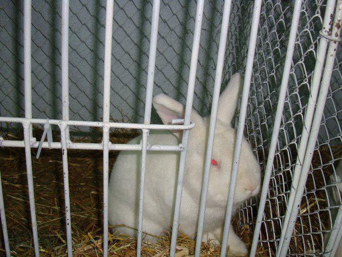 DSC09194