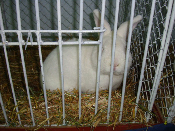 DSC09195
