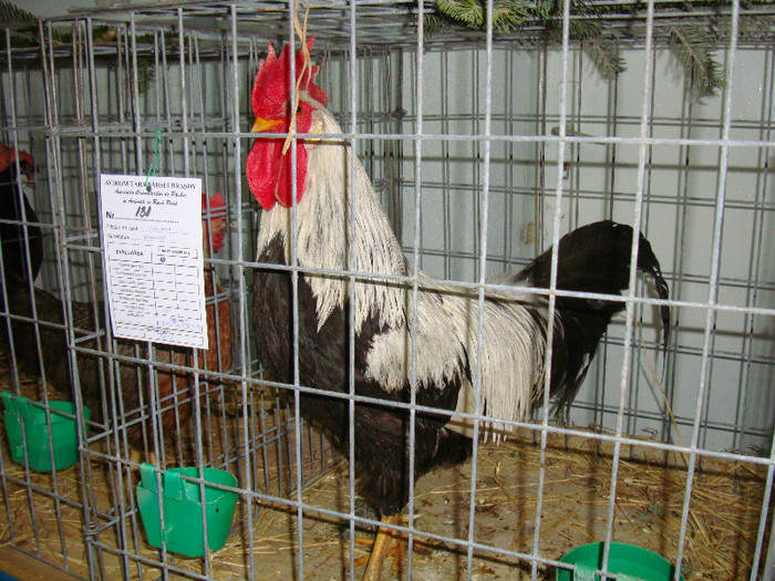 DSC09198