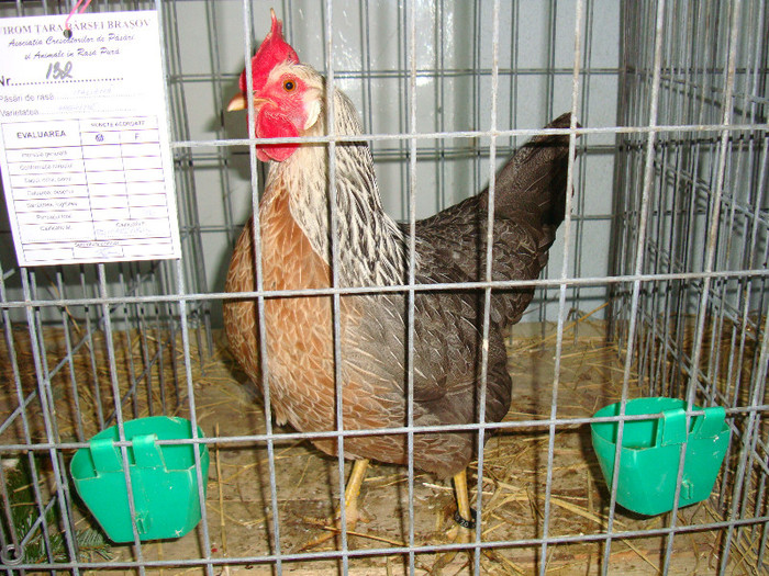 DSC09199