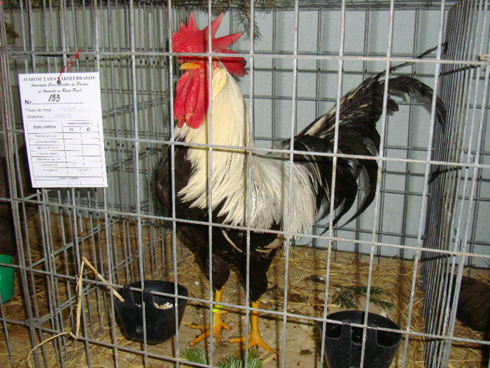 DSC09200