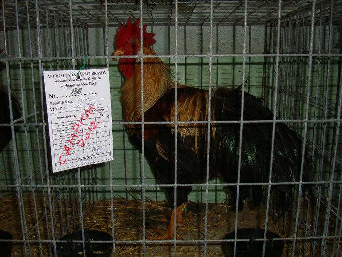 DSC09201