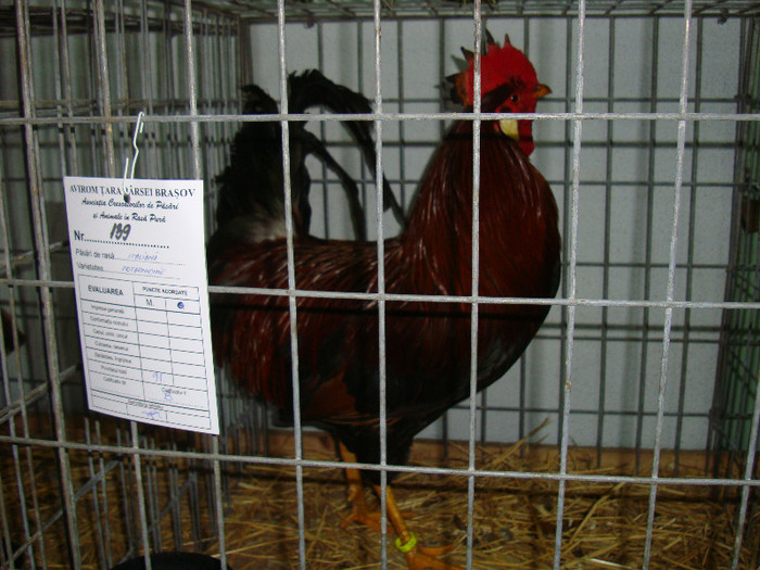 DSC09202