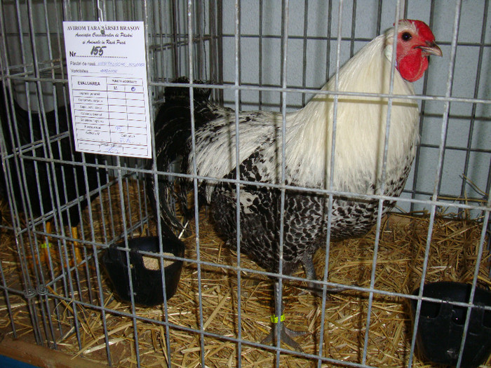 DSC09208