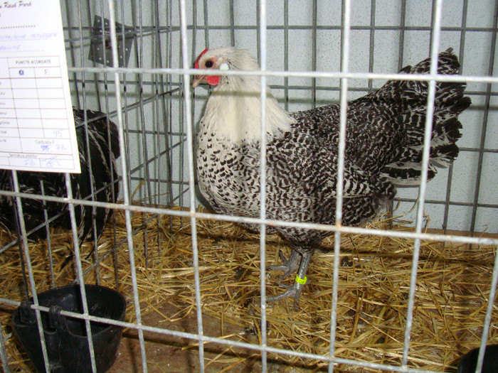 DSC09211
