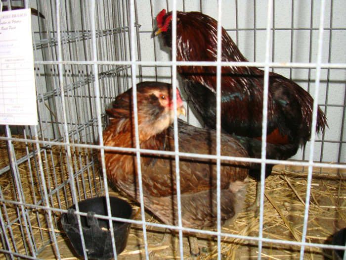 DSC09216