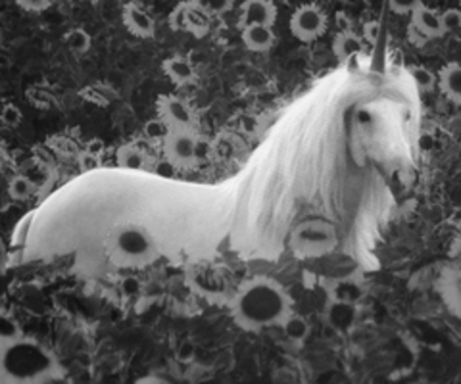 tumblr_lzrdw8Bofb1qew6ifo1_500_thumb tumblr_lzrdw8Bofb1qew6ifo1_500_thumb