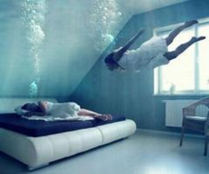 425047_240140172744413_203142206444210_480140_1642029642_n_thumb