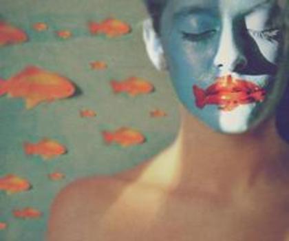 318537_266562196718785_150106035031069_764798_1805944093_n_thumb - Artistice