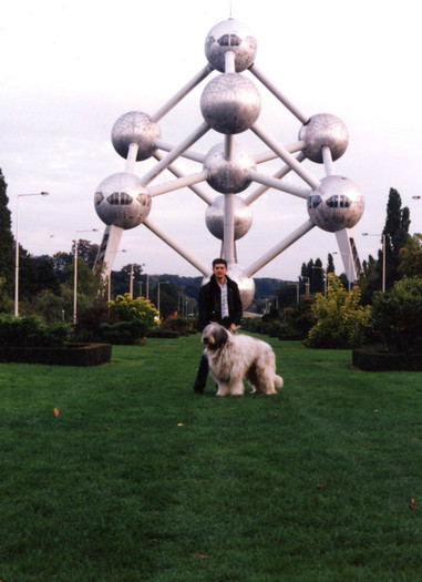 Ursu Bruxelles Atomium - Ursu etalonul rasei mioritic