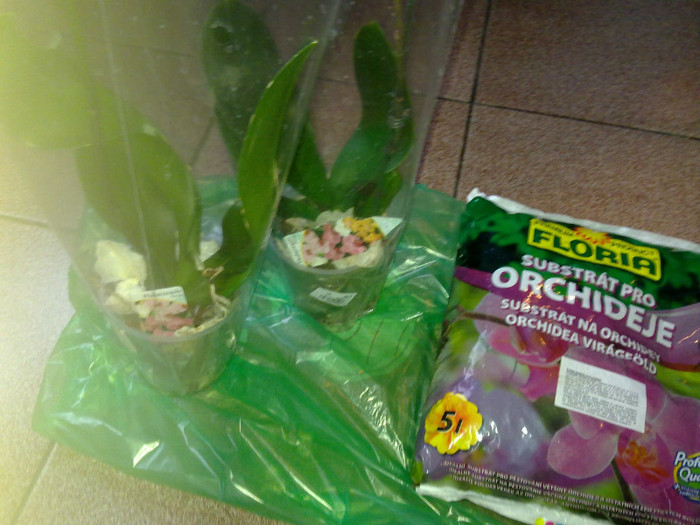 25.02.2012 luate din Auchan