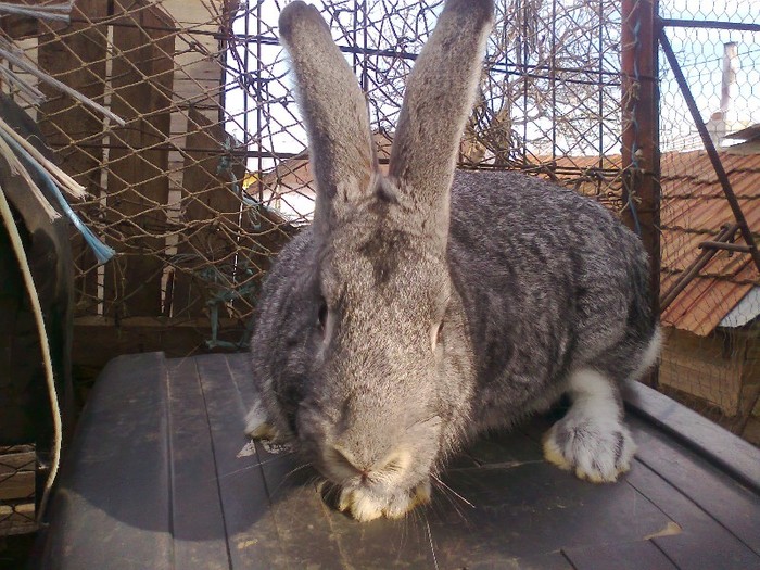 Fotografie0845; vreu sa vad cei camera asta
