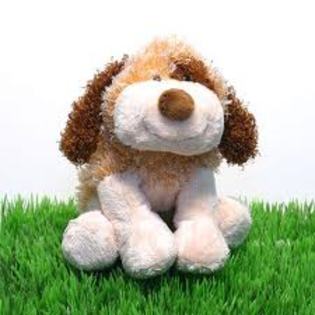 images (18) - webkinz