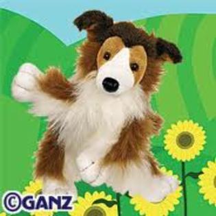 images (24) - webkinz