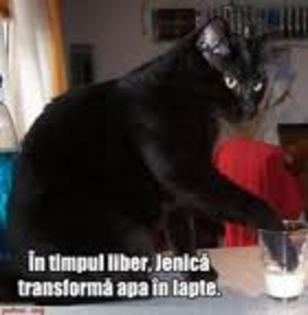 images (10) - animale vorbitoare
