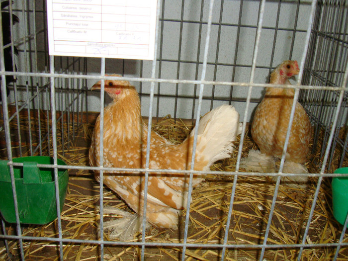 DSC09246