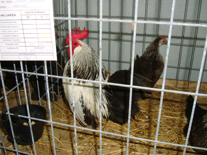 DSC09256