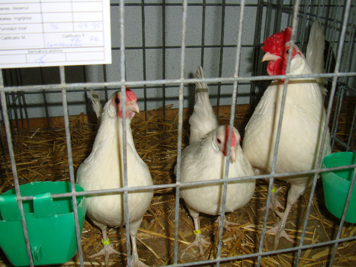 DSC09260