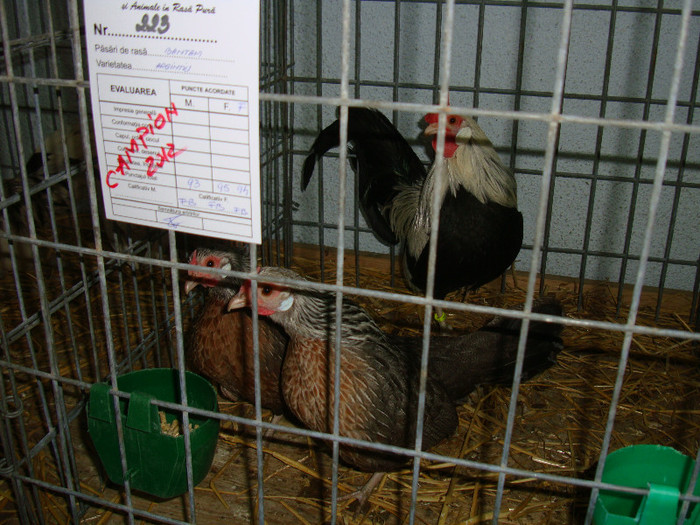 DSC09263