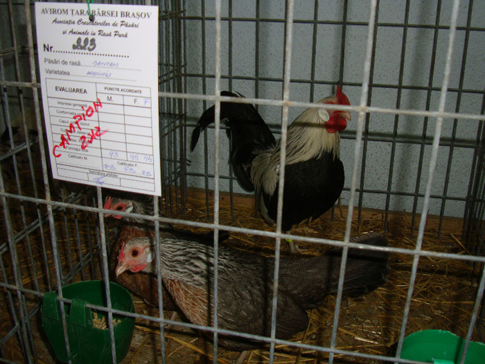DSC09264