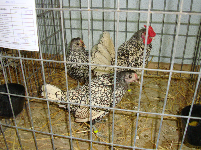DSC09267