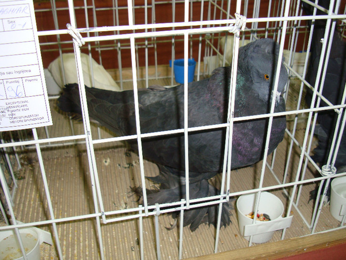 DSC09268