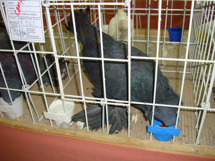 DSC09269