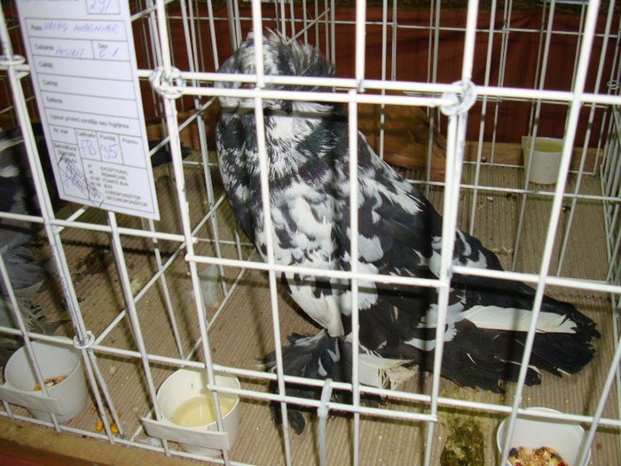 DSC09270