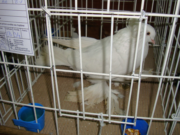 DSC09271