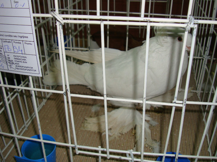 DSC09272