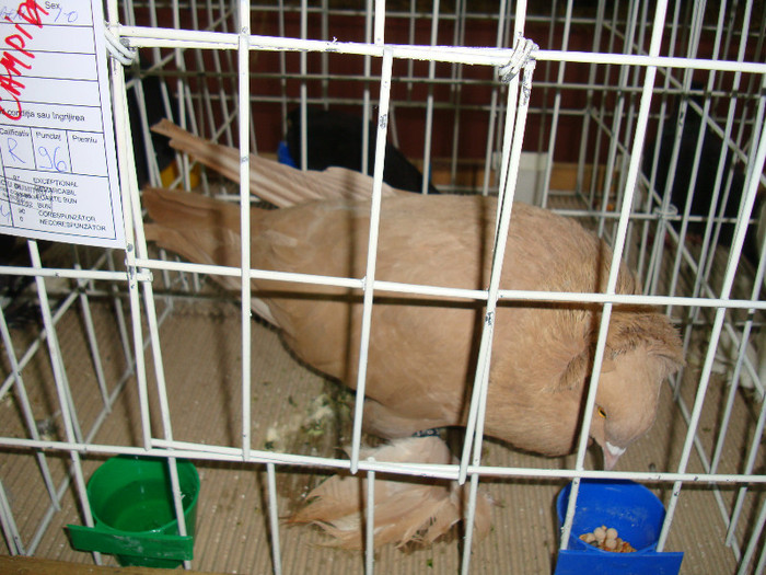DSC09274