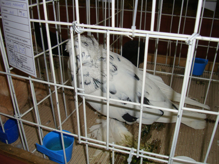 DSC09275