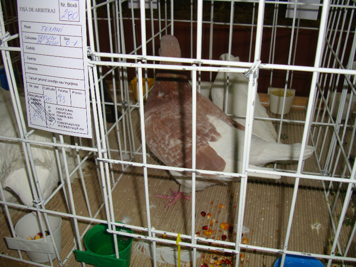 DSC09276