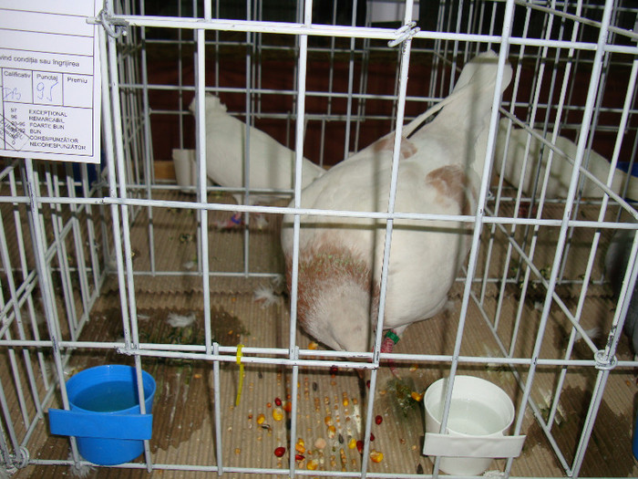 DSC09277