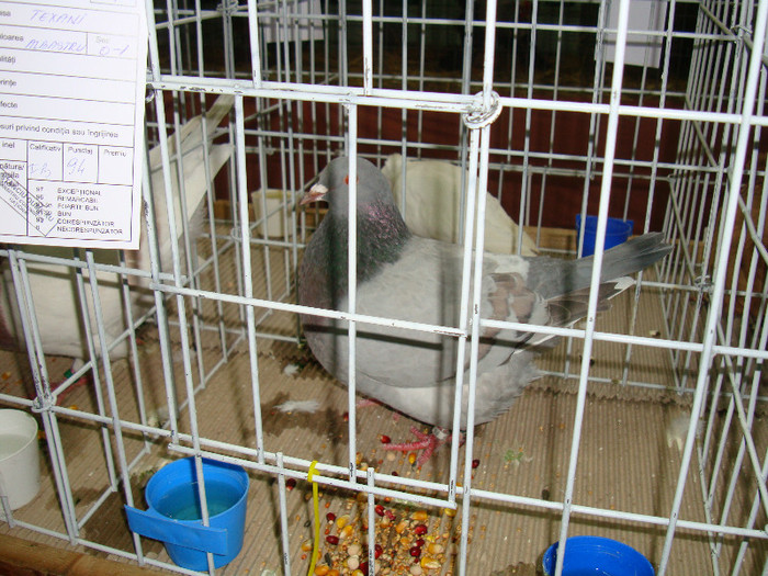 DSC09279