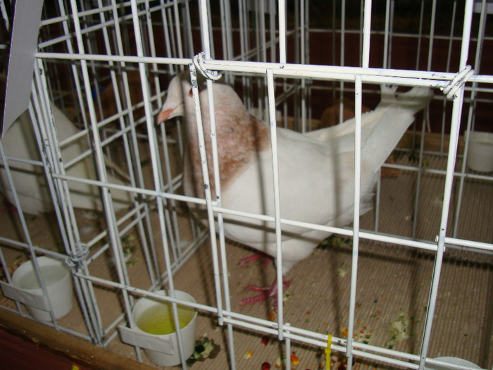 DSC09281