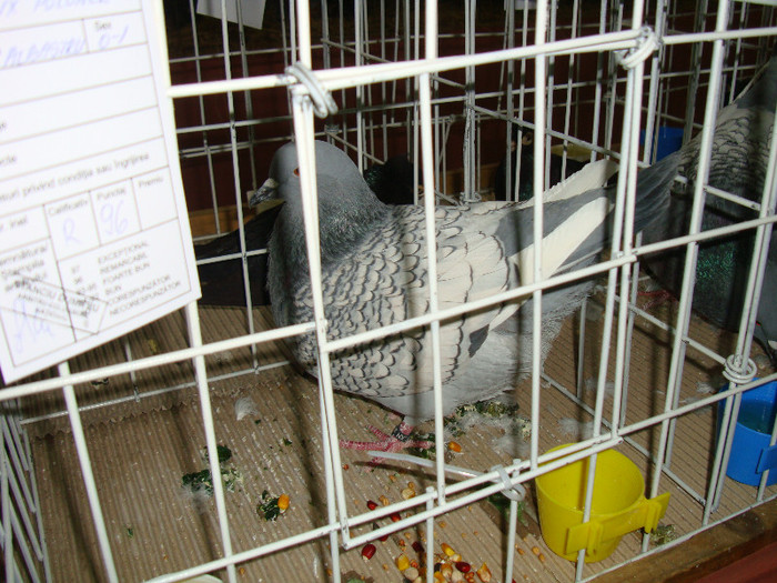 DSC09283