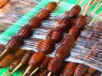 images (13) - asta e SURPRIZA