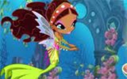 images (14) - winx club layla