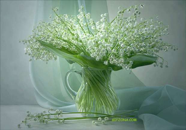 flori-ce-vestesc-primavara_a4b2fedfd535dd - primavara