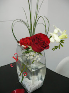 P1110505 - primavara