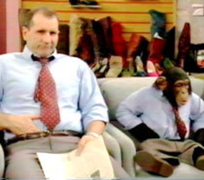 Familia Bundy