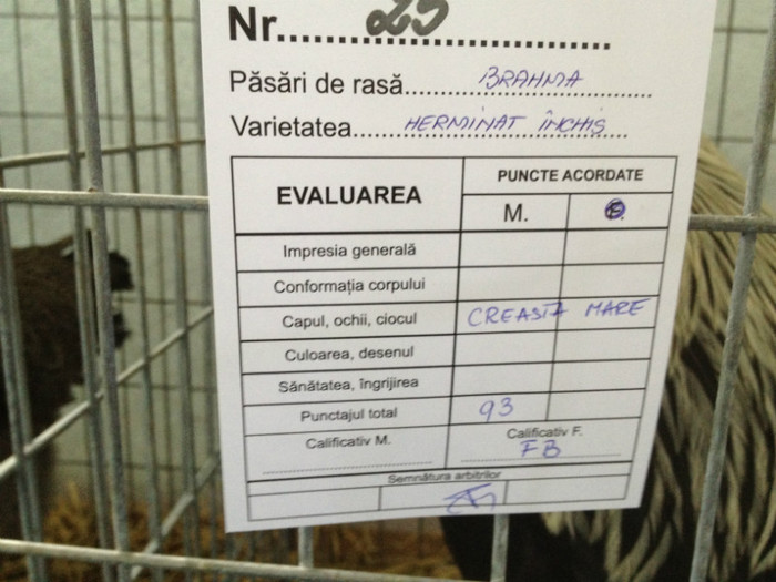 IMG_3460 - Expo Brasov 2012