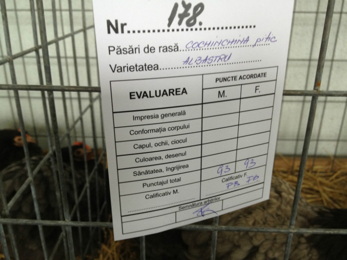 IMG_3502 - Expo Brasov 2012